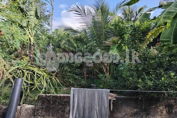 Code 3901 Land for sale Kesbewa