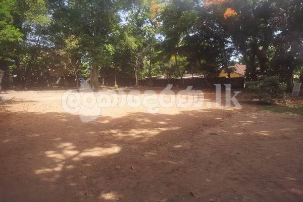 Code 3900 Lands with  house for sale Nedimala