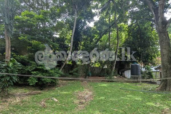 Code 3900 Lands with  house for sale Nedimala