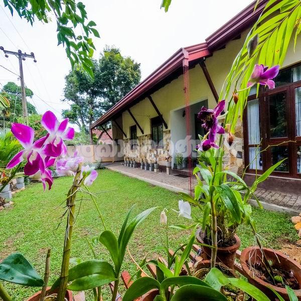 Code 3914 House for sale Ragama