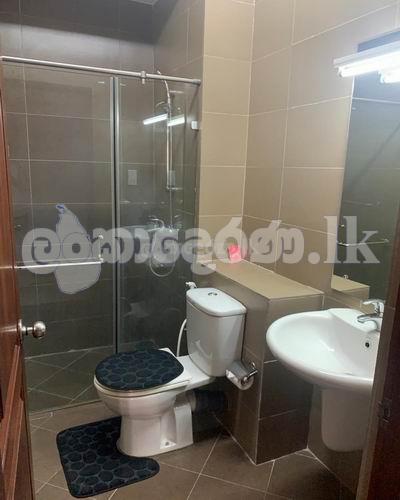 Code 3917 Apartment  for rent Col05