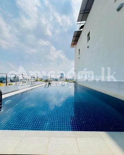 Code 3917 Apartment  for rent Col05