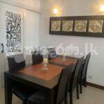 Code 3917 Apartment  for rent Col05