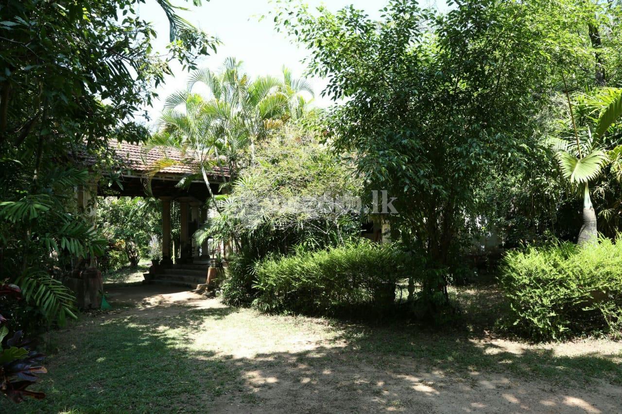 57 Perch Land For Sale In Nugegoda