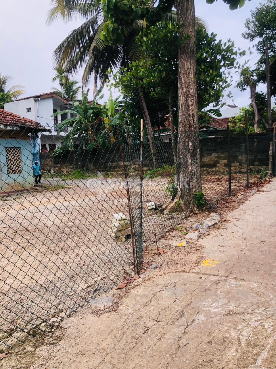 Land For Sale In Rattanapitiya