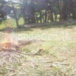Code 3914 Land for sale Battaramulla