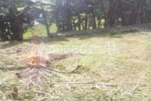 Code 3914 Land for sale Battaramulla