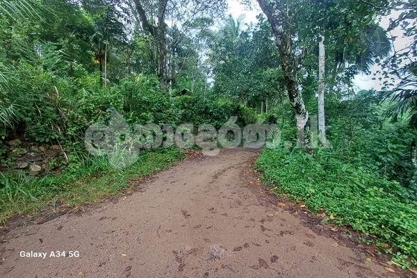 Code 3923 Land for sale Galaha Kandy