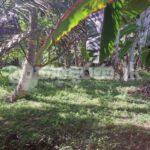 Code 3942 Land for sale Matara