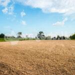 Land for Sale Near Wellawaya town