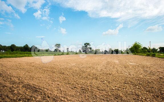 Land for Sale Near Wellawaya town