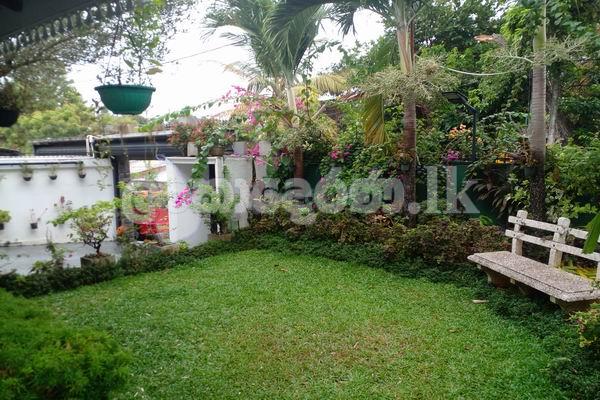 House for sale (3957) Nedimala