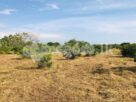 Estate for sale (3958) Puttalam