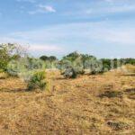 Estate for sale (3958) Puttalam