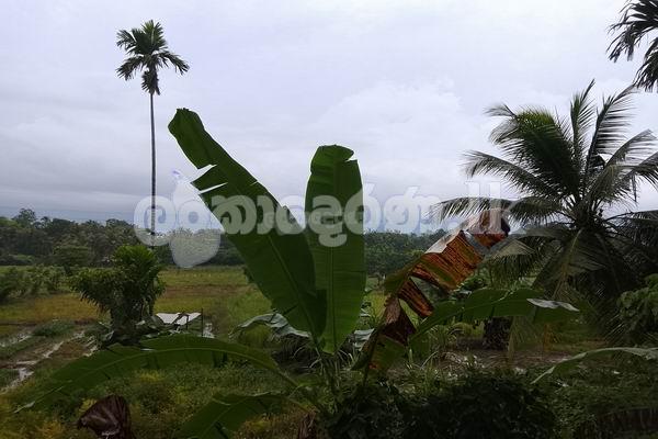 Villa bungalow for sale (3965) Wadduwa