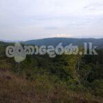 Estate for sale (3962) Haldumulle Haputale