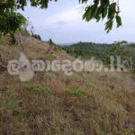 Estate for sale (3962) Haldumulle Haputale