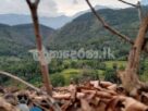Estate for sale (3962) Haldumulle Haputale