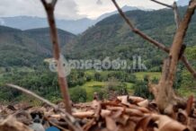 Estate for sale (3962) Haldumulle Haputale