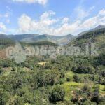 Estate for sale (3962) Haldumulle Haputale