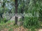 Land for sale (3969) Peradeniya Kandy