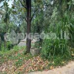 Land for sale (3969) Peradeniya Kandy