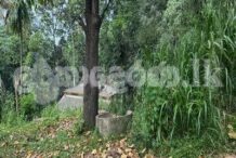 Land for sale (3969) Peradeniya Kandy