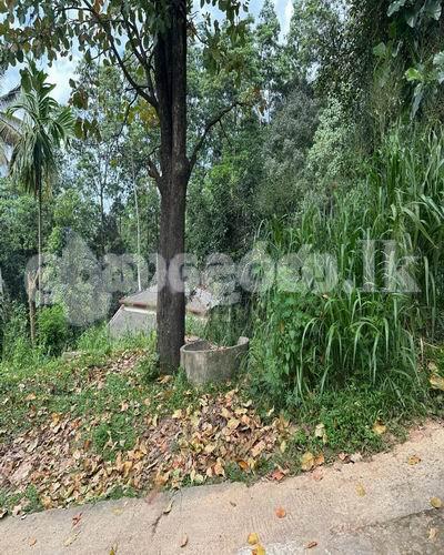 Land for sale (3969) Peradeniya Kandy