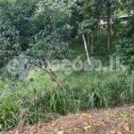 Land for sale (3969) Peradeniya Kandy