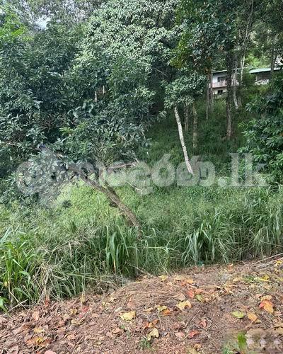 Land for sale (3969) Peradeniya Kandy