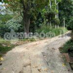 Land for sale (3969) Peradeniya Kandy