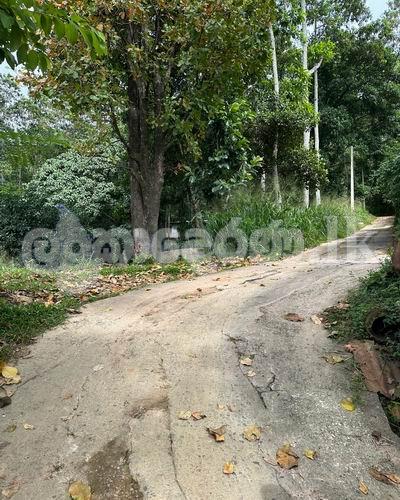 Land for sale (3969) Peradeniya Kandy