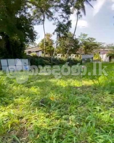 Land for sale (3972) Ahangama