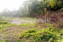 Land for sale (3974) moratuwa