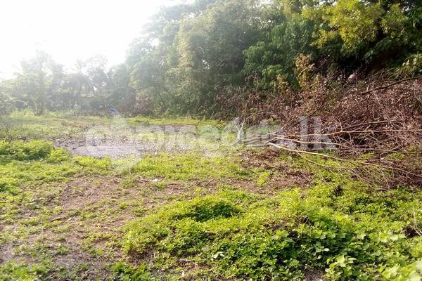 Land for sale (3974) moratuwa