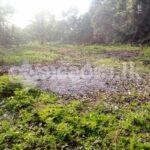 Land for sale (3974) moratuwa
