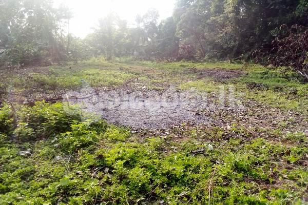 Land for sale (3974) moratuwa