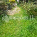 Land for sale (3979) Kandy