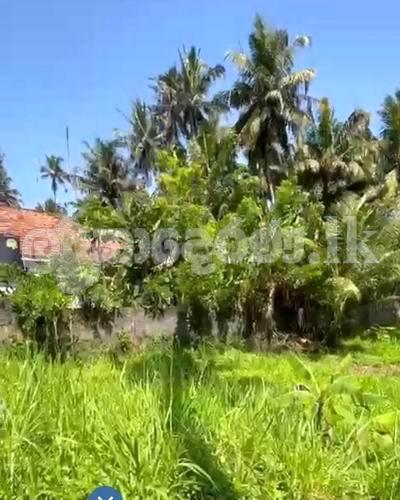 Land for sale (3972) Ahangama