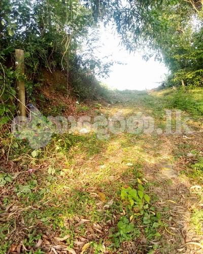 Land for sale (3974) moratuwa