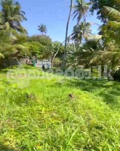 Land for sale (3972) Ahangama