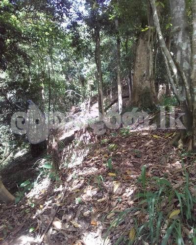 Land for sale (3979) Kandy