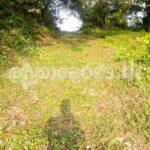 Land for sale (3974) moratuwa