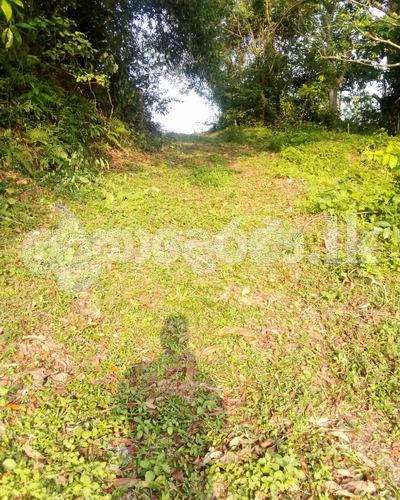 Land for sale (3974) moratuwa