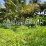 Land for sale (3972) Ahangama