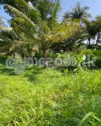 Land for sale (3972) Ahangama