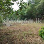 Land for sale (3974) moratuwa