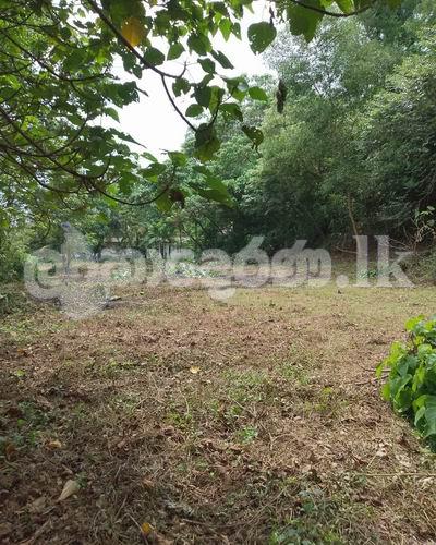 Land for sale (3974) moratuwa