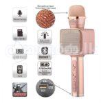 Karaoke Mic YS68 / 60 Good Quality Mic