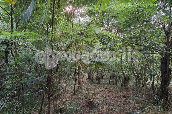 Land for sale (3987A) Herasagala